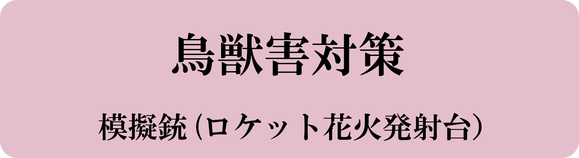 シンク・フジイ　害獣対策用模擬銃